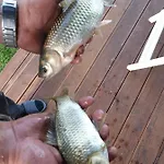 Malowniczy Zakatek W Dercu Çiftlik konaklama