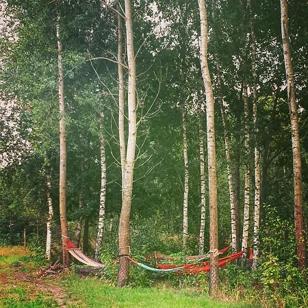 Malowniczy Zakatek W Dercu *