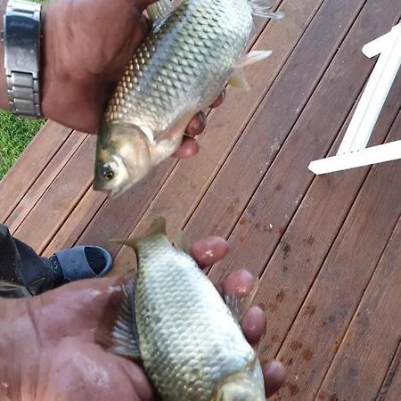 Malowniczy Zakatek W Dercu Feriegård