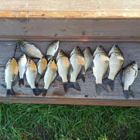 Malowniczy Zakatek W Dercu Farm stay